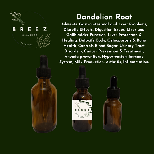 Dandelion Root Vinegar Tincture