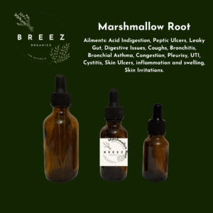 Marshmallow Root Tincture