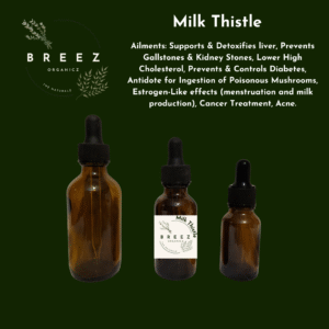 Milk Thistle Tincture